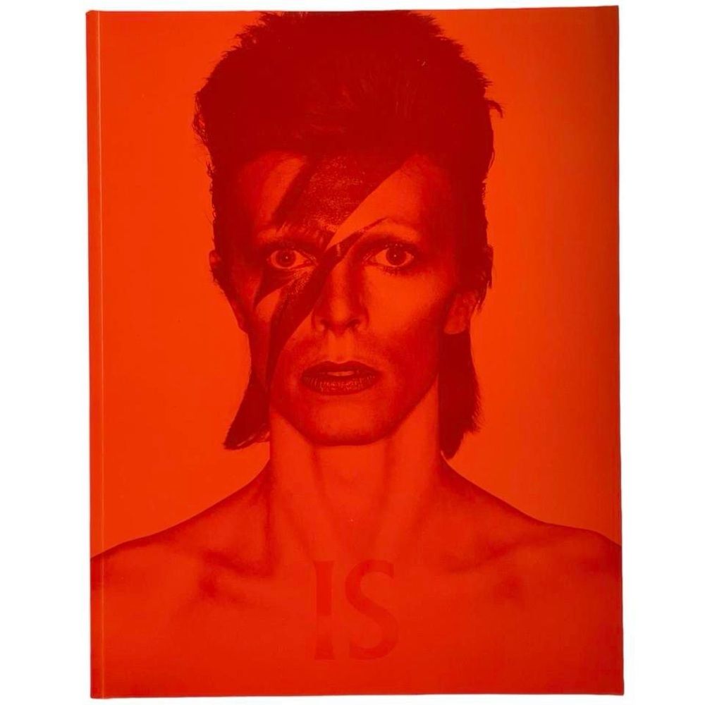 David Bowie Is Inside by Victoria Broackes and Geoffrey Marsh